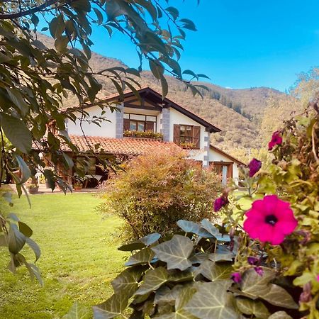 Excepcional Casa El Olivo Villa Ojedo Exteriör bild