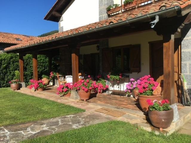 Excepcional Casa El Olivo Villa Ojedo Exteriör bild