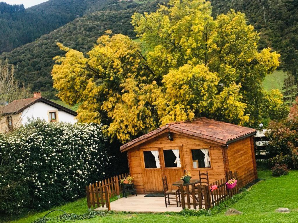 Excepcional Casa El Olivo Villa Ojedo Exteriör bild